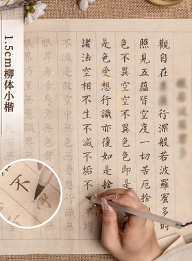 小楷抄经本行书静心临摹手抄本
