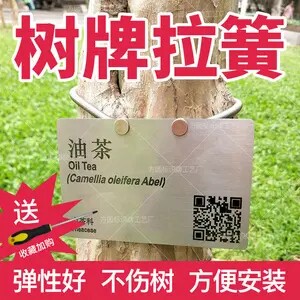 不锈钢平头拉簧 古树树牌拉簧 管护护套拉簧 304一米长短拉簧定制 - 图2