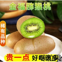 Shaanxi Agricultural Science City Yang Lingmei County Zhou to Qinling Mountains Zhengzong Jin Fuchi Exotic Fruit Glutinous Sweet and Juice Should season fruit