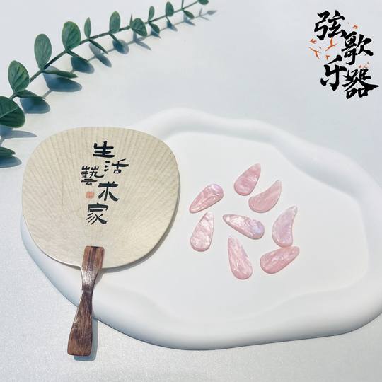 Caibei guzheng nail plate storage set