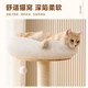 Solid wood cat climbing frame cat nest cat tree integrated household small apartment does not occupy an area cat shelf cat scratching post climbing frame