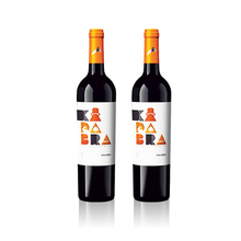 【买一送一】阿根廷红酒马尔贝克干红葡萄酒