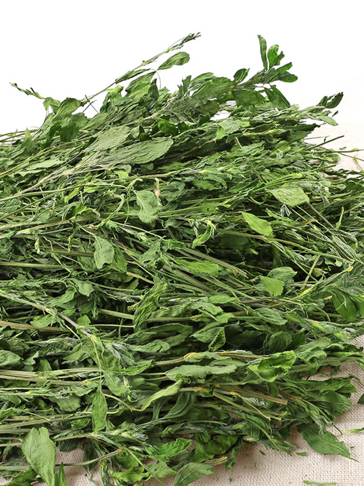 绿色新苜蓿烘烤紫花苜蓿草干草兔粮兔子龙猫粮食荷兰猪兔草饲料 - 图1