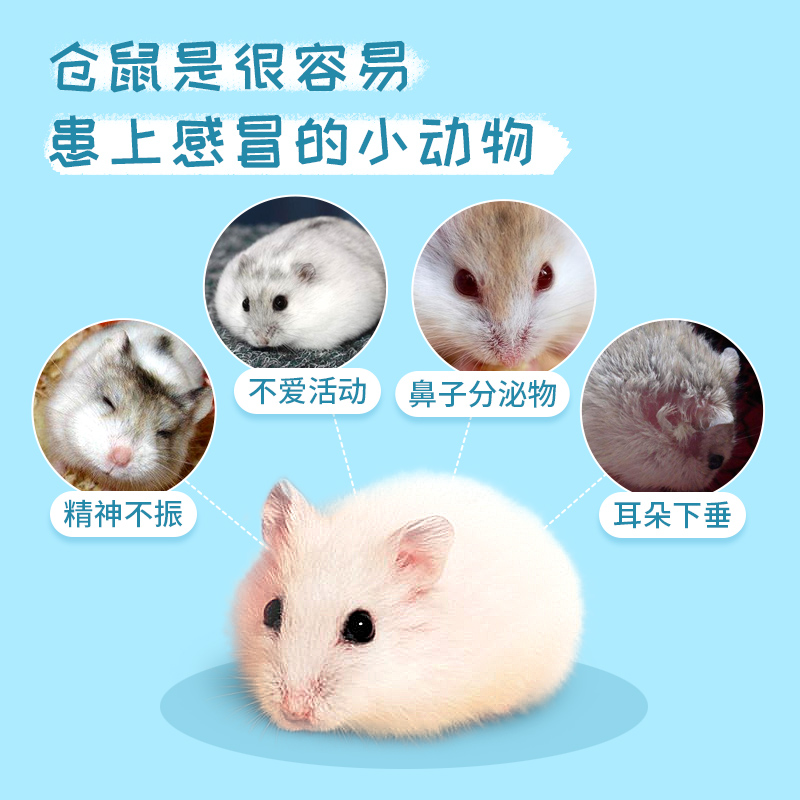 仓鼠棉花冬天过冬彩色棉球金丝熊保暖棉龙猫刺猬睡窝兔子御寒用品 - 图0