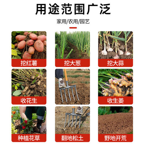 农用翻地松土神器四齿钢叉开荒挖土农具翻土叉子全钢木杆铁叉姜叉 - 图3