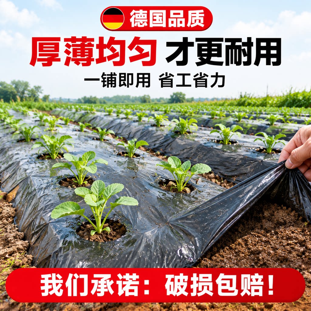 Silver and black two-color mulch film with holes for agricultural planting film