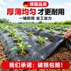 Silver and black two-color mulch film with holes for agricultural planting film