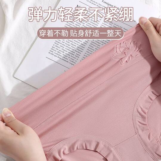 Ropa interior de talla grande para mujeres modal de madres gordas de mediana edad y mayores