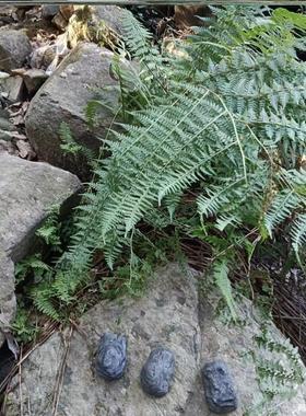 仿真石头藏钥匙盒户外防丢锁匙盒