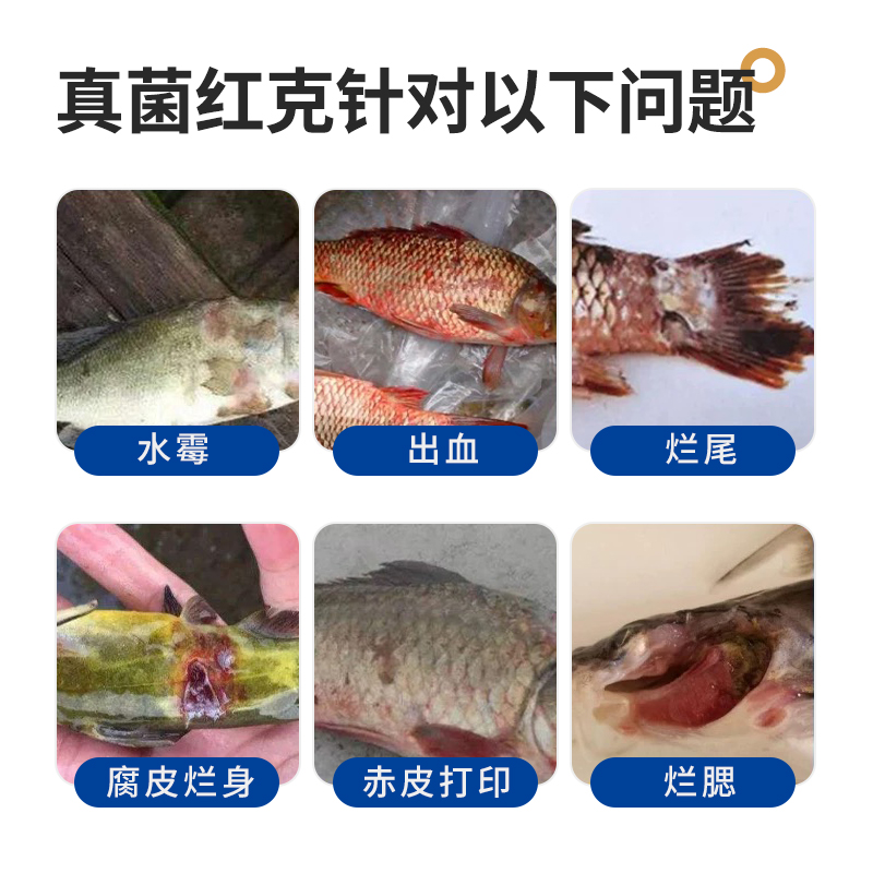 真菌红克水霉白毛腐皮出血烂鳃烂身鱼塘水产养殖水库渔药 - 图2