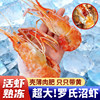High-quality shrimp, Macrobrachium rosenbergii, fresh prawns, quick-frozen large-headed shrimps, giant extra-large seafood, aquatic fresh shrimps
