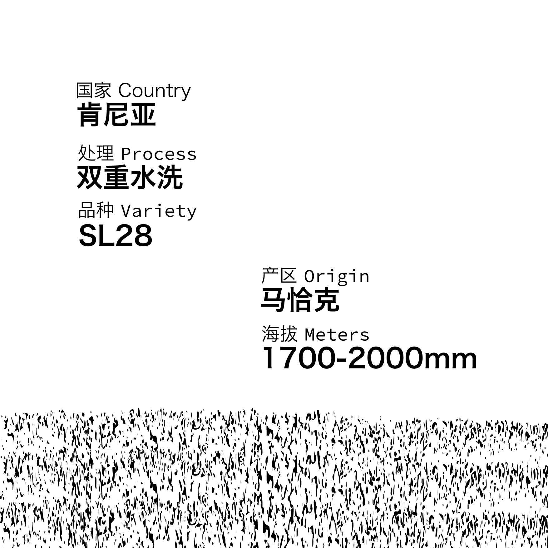 Bravo博馥肯尼亚莲3.0马恰克AB双重水洗SL28精品手冲咖啡豆200g - 图0