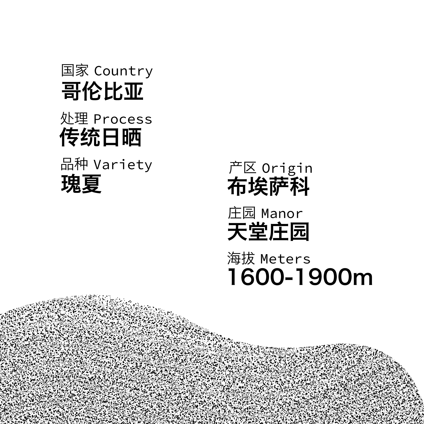 Bravo哥伦比亚埃布萨科天堂庄园日晒瑰夏精品手冲咖啡豆60g礼盒装 - 图0