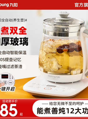 九阳养生壶多功能煮茶器办公