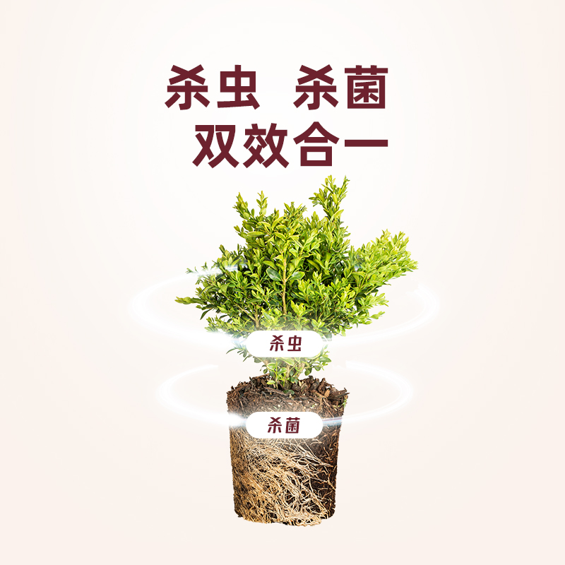 千百季旗舰店小黑小白组合杀虫药杀菌剂防虫介壳虫蚜虫家庭通用 - 图0