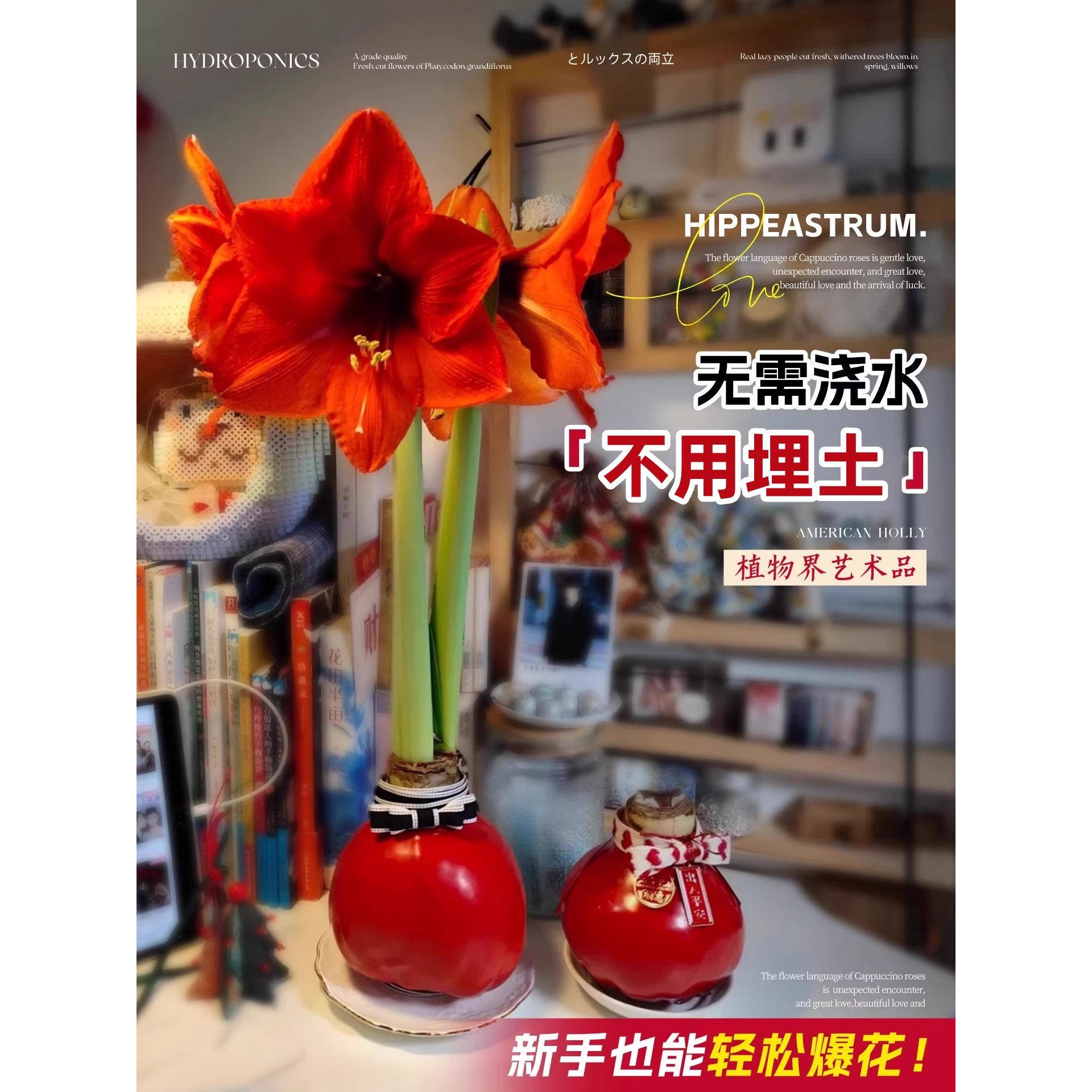 朱顶红蜡封种球室内桌面花卉观赏植物懒人好养易活节日祝福注定红,淘宝优惠券,粉丝福利购,淘宝优惠卷