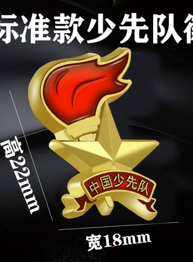 学生学生*队徽胸章强力磁铁中国