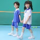 Chuangtong Shenzhen School Uniforms Primary School Students Spring and Autumn Sports Suit