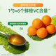 童年时光childlife婴幼儿补充维生素儿童甜橙维C营养液VC2瓶