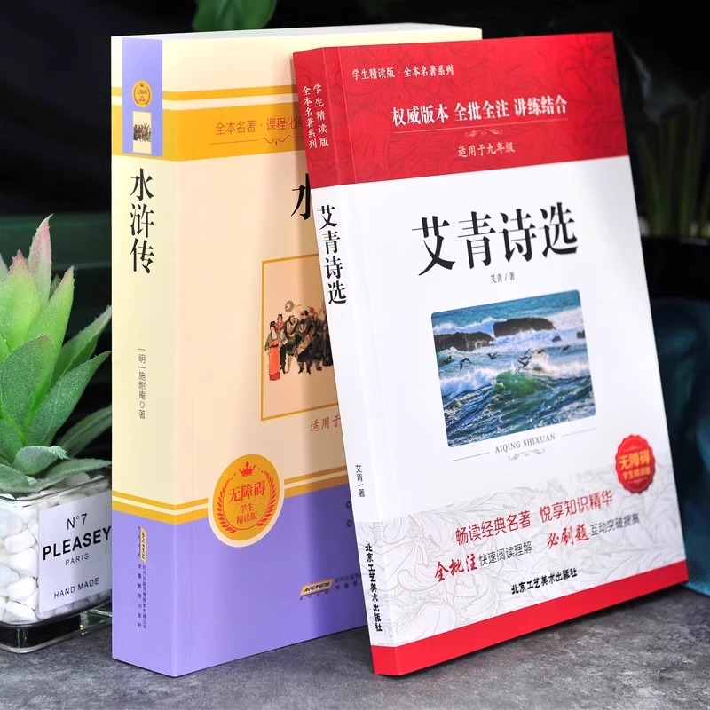 水浒传原著正版未删减完整版初中生青少年九年级上学生版必现代文半文言文白话文读120回全水许传单本名著上册初中版课外书
