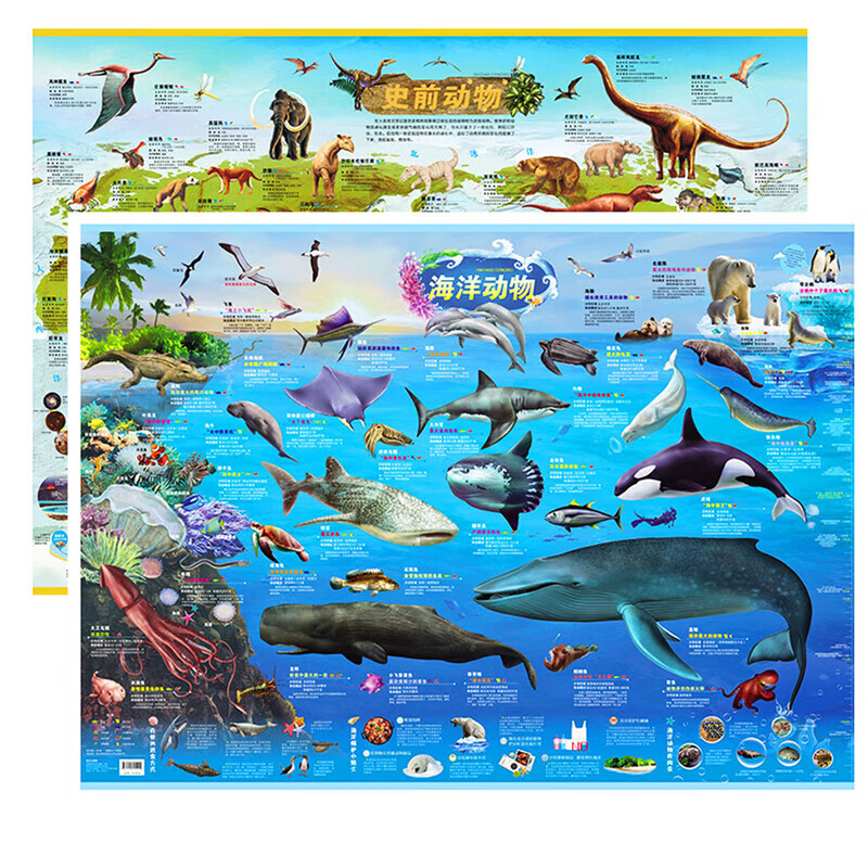 儿童房挂图系列  史前+海洋动物   墙贴儿童房专用超大挂图大尺寸高清远古恐龙书儿童科普百科全书启蒙