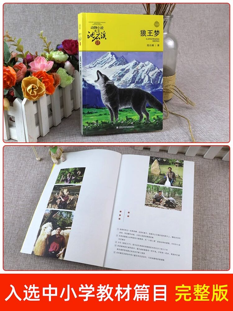狼王梦正版包邮动物小说大王沈石溪品藏书系全集全本完整版青少年版小学生四五六年级必读课外书上册阅读书籍浙江少年儿童出版社_虎窝淘