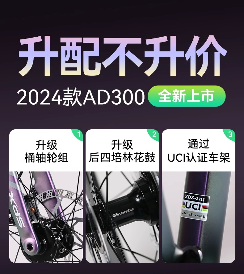 喜德盛2024新款AD300公路自行车全内走破风车架18速线拉油碟赛车 - 图0