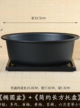 椭圆形加厚树脂花盆｜多肉老桩