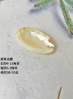 天然贝壳水滴珍珠光泽米白摆件
