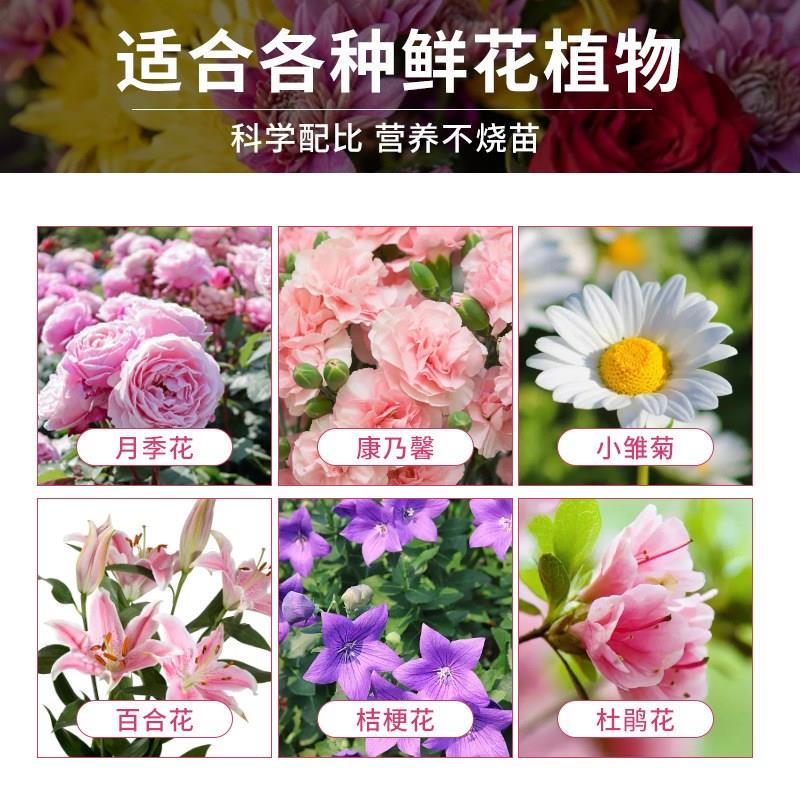 鲜花保鲜剂营养液玫瑰百合通用型鲜切花花店插花家用养护园艺植物-图2