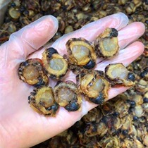 Natural self-drying scallop bay dry full bay dry Yao post with bay metabeware soup saucepan porridge Fresh beauty seafood dried goods