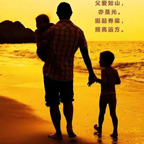 【抖音同款】父之脊梁 正版 当父亲是一种责任父爱与教诲同行点燃孩子内心的灯塔 爸爸的高度决定孩子的起点育儿书籍畅销书排行榜 - 图0