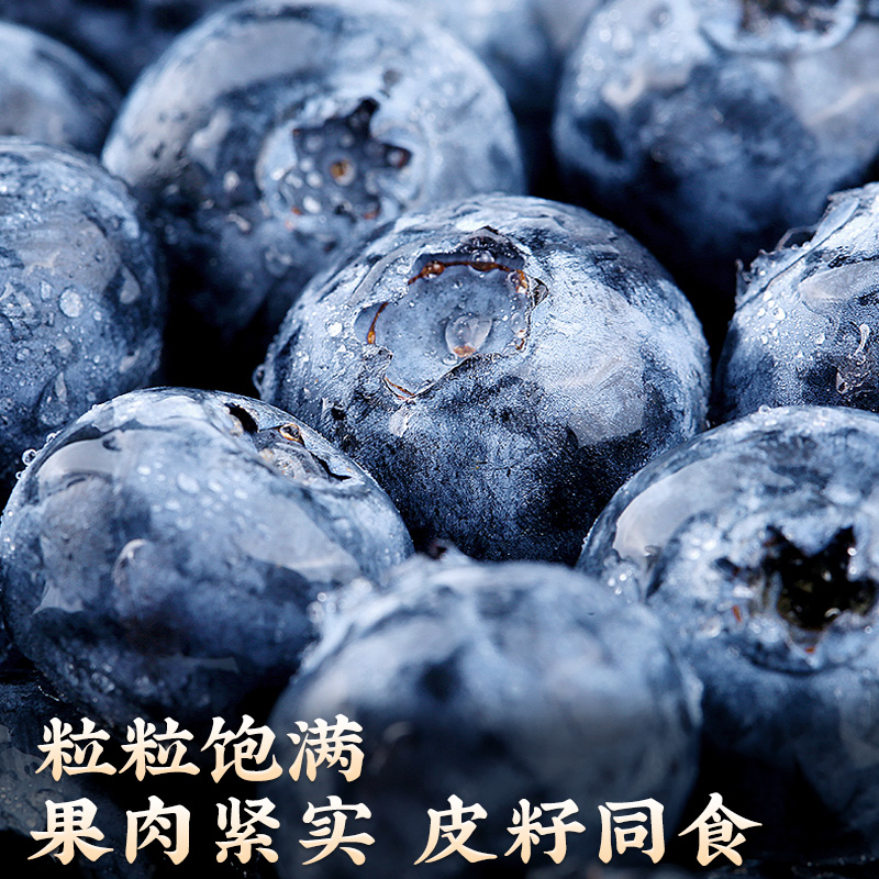 云南高山蓝莓鲜果特大果5斤新鲜水果应当季整箱一颗蓝梅超礼盒装