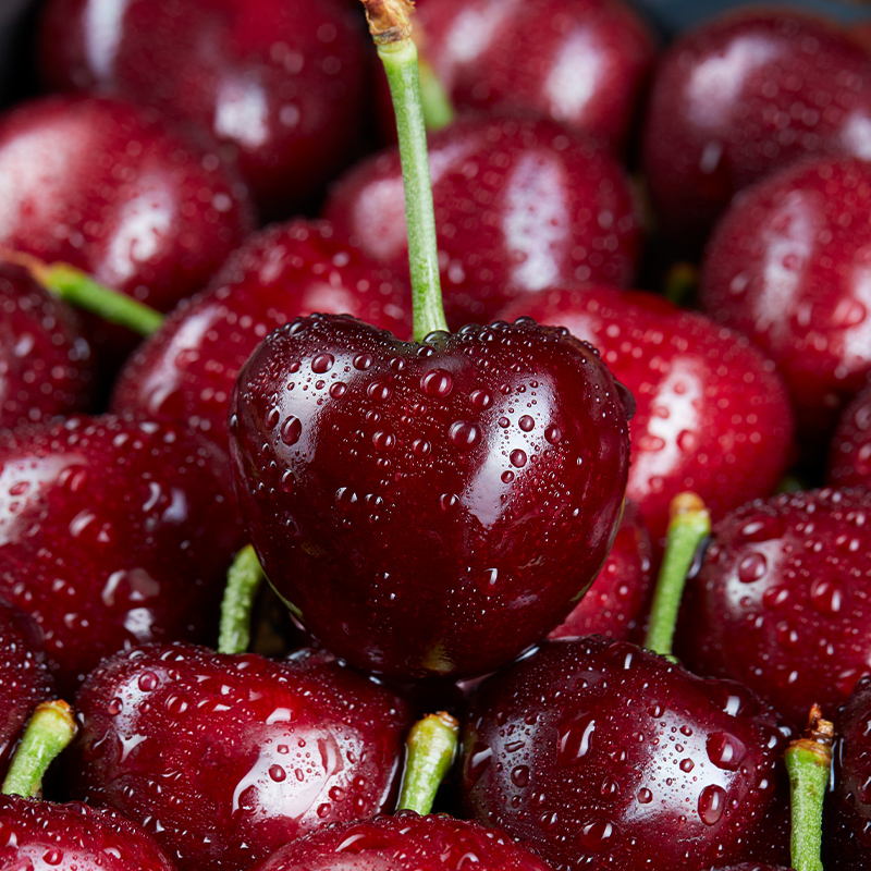  阳山杨氏车厘子/樱桃