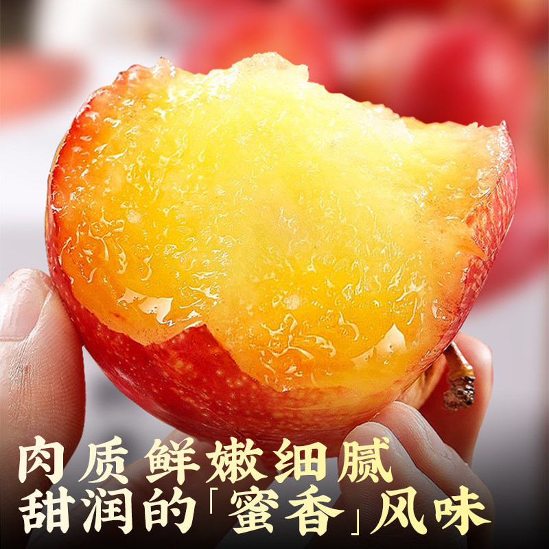 【只发正宗】智利进口樱桃李子新鲜水果5斤红心当季顺丰礼盒包邮,淘宝优惠券,粉丝福利购,淘宝优惠卷