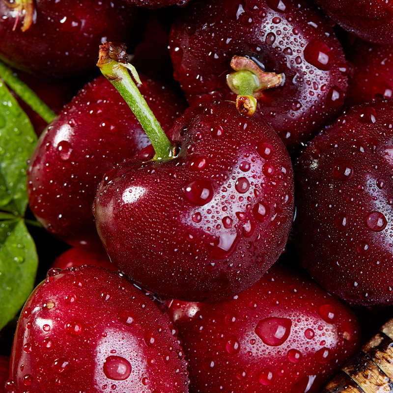  阳山杨氏车厘子/樱桃