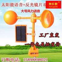 Wind Drive Bird-driven Birds Theorizer Multi Faceted Lens Wind Wheel Voice Drive Birds Orchard Special catch-up for birds Home Outdoor