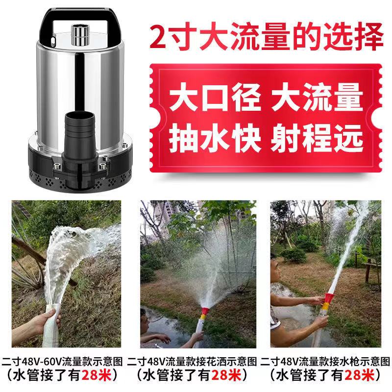 直流潜水泵12V24V48V60V水泵电动车电瓶抽水机高扬程不锈钢抽水泵 - 图0