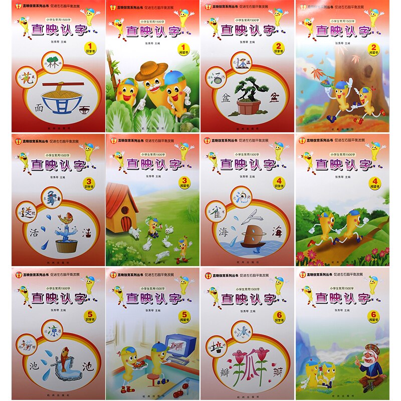 直映认字正版教材全12本学前幼儿园宝宝识字卡片图直映教育识字书培训早教机构识字启蒙全套看图识字阅读识字动画片认字教材批发