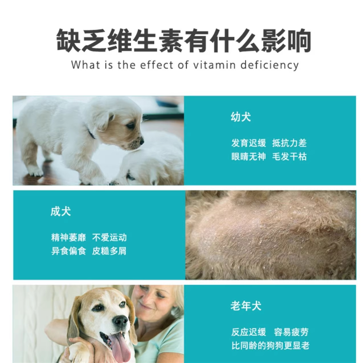 卫仕大牌狗狗复合维生素宠物犬用美毛掉毛泰迪金毛营养提高卫士 - 图0