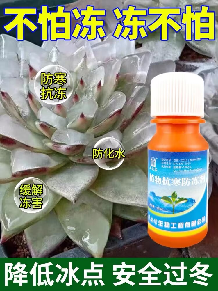 多肉专用植物冷却液花卉蔬菜苗木果树低温防寒抗寒抗冻通用防冻剂 - 图2