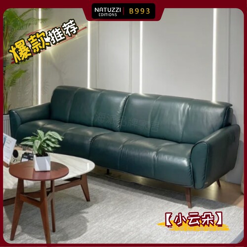 Natuzzi纳图兹/意迪森C142毛毛虫功能性真皮沙发C255C027正品代购 - 图0