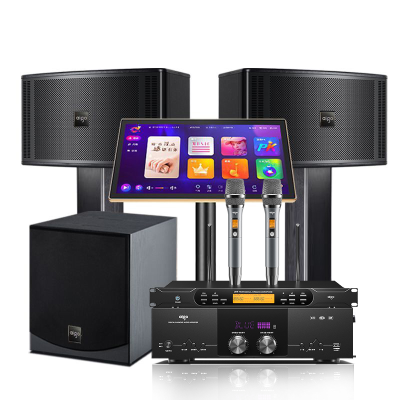 Patriot 12-inch home KTV audio set complete set