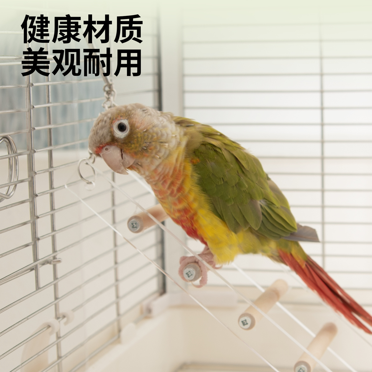 优嗖鹦鹉亚克力爬梯秋千鸟玩具攀爬站架木棍玄凤虎皮牡丹锻炼解闷,淘宝优惠券,粉丝福利购,淘宝优惠卷