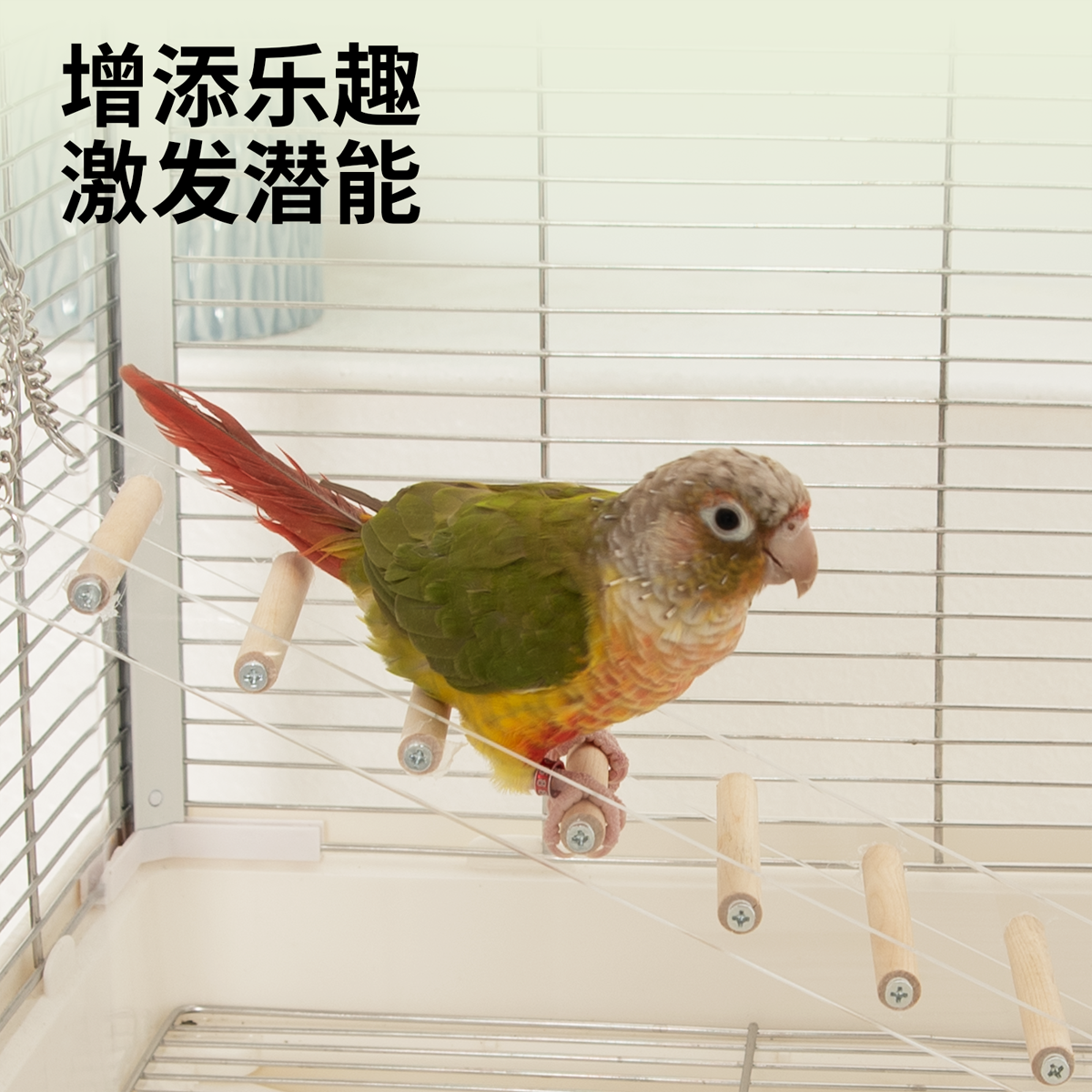 优嗖鹦鹉亚克力爬梯秋千鸟玩具攀爬站架木棍玄凤虎皮牡丹锻炼解闷,淘宝优惠券,粉丝福利购,淘宝优惠卷