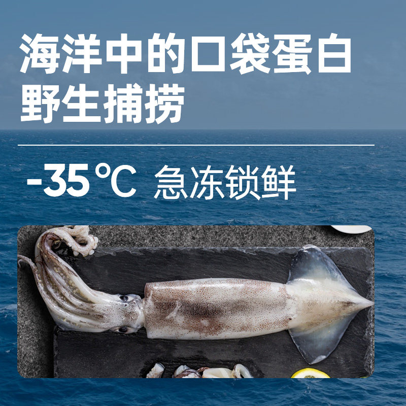 海派说手撕鱿鱼条零食即食儿童海味 海派说即食鱿鱼零食