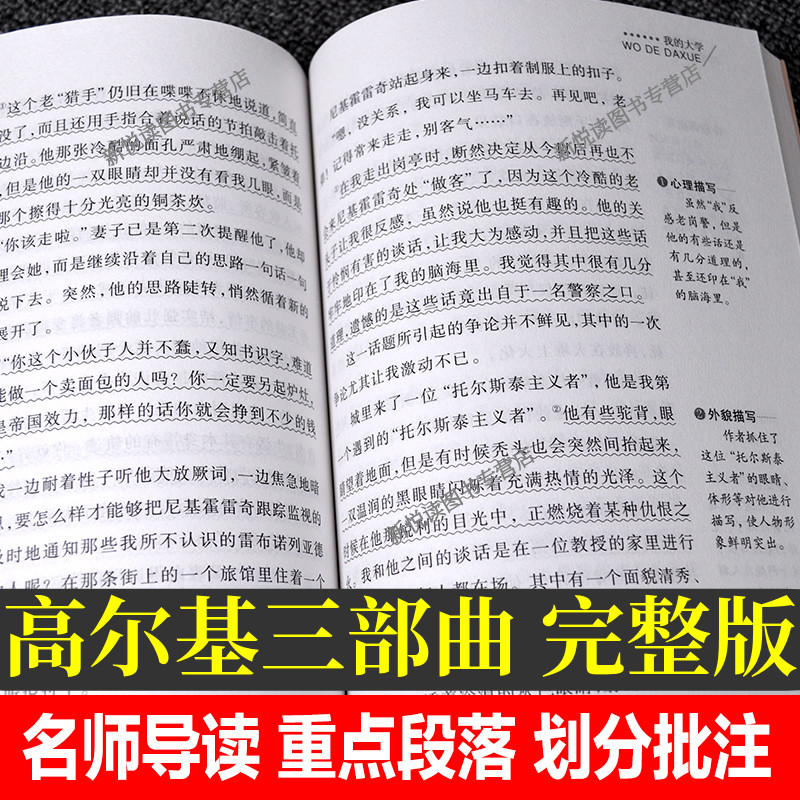 正版3册 童年在人间我的大学高尔基青少版经典名著高尔基三部曲名师导读版中小学生版课外书籍三年级四五六年级儿童文学世界名著 - 图2