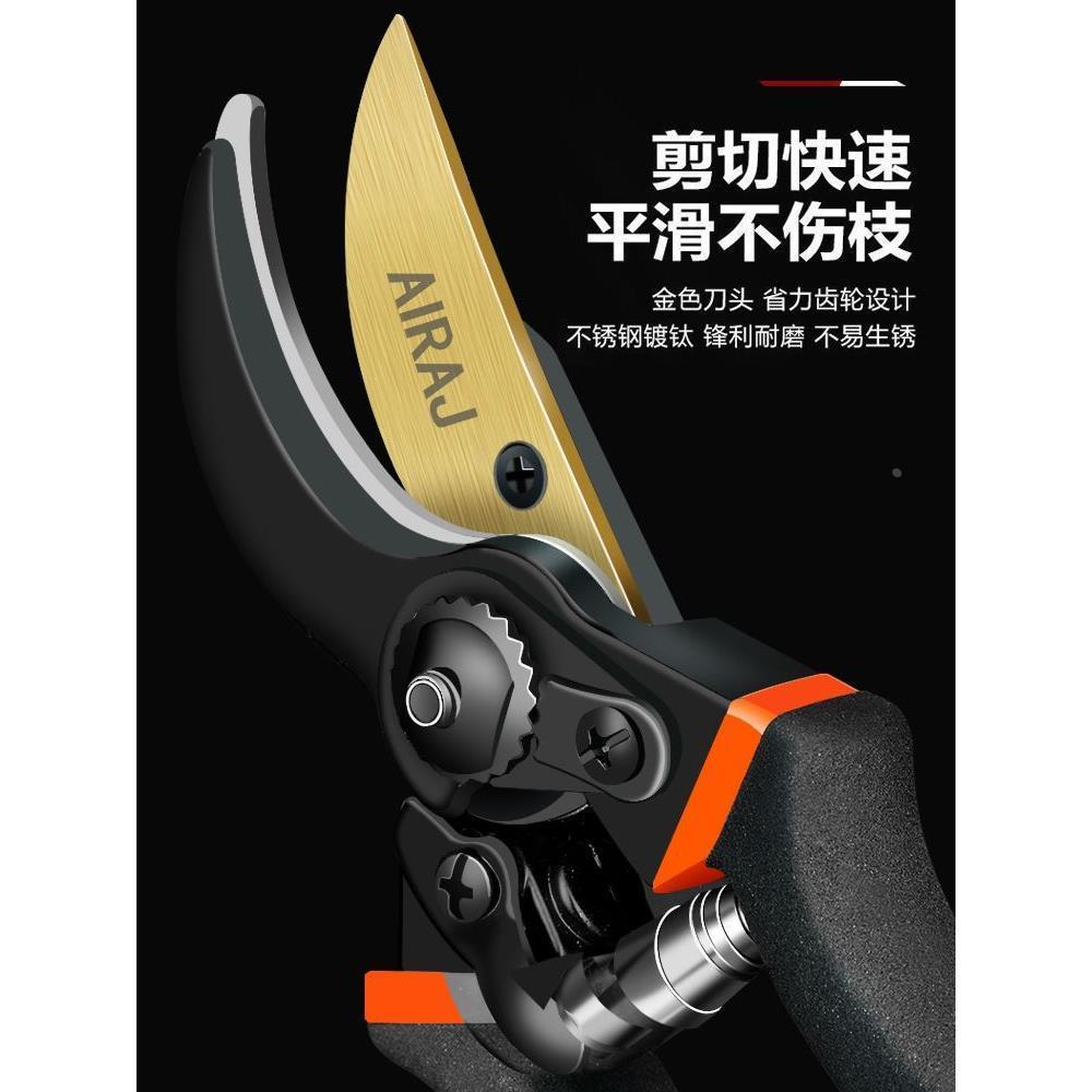 德国精工艺园剪刀剪树枝专用剪刀修枝剪园林果树修花家用粗枝剪子 - 图0