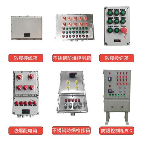 直销防爆仪表箱数显仪表72*48带按键操作防爆温控配电箱接线盒分-图2