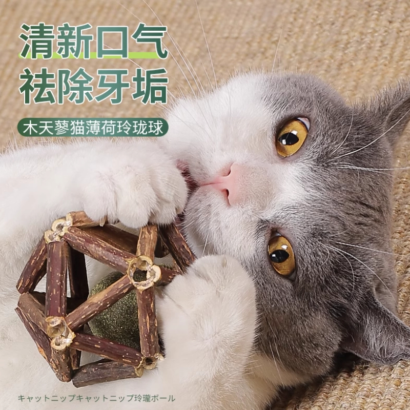 猫薄荷球猫玩具自嗨磨牙逗猫神器棒棒糖舔乐逗猫棒耐咬猫咪玩具 - 图0